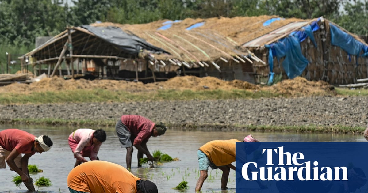 ‘India is going to face a food crisis’: Farmers panic over fertiliser shortages amid Iran war