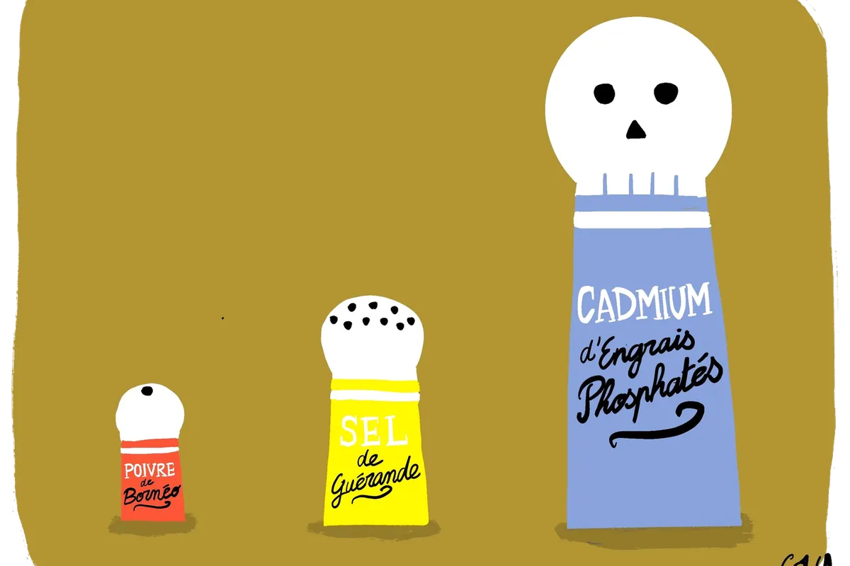 Cadmium : les clés pour comprendre ce nouvel enjeu de santé publique