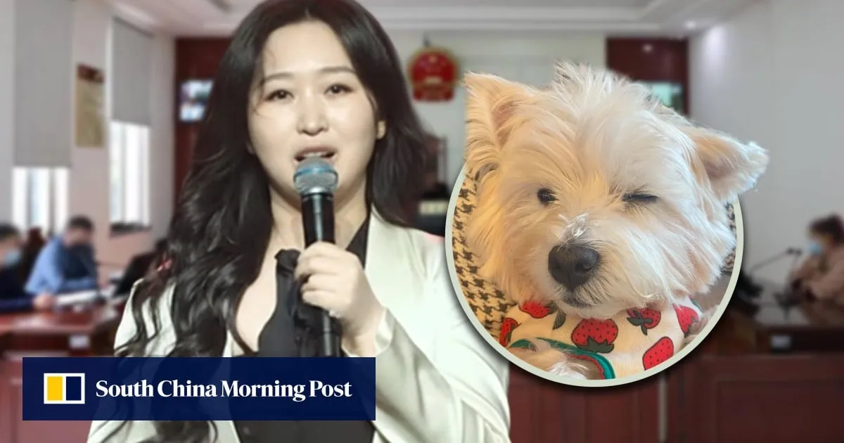 Chinese woman whose pet dog was poisoned, killed by neighbour, sacrifices job for the cause