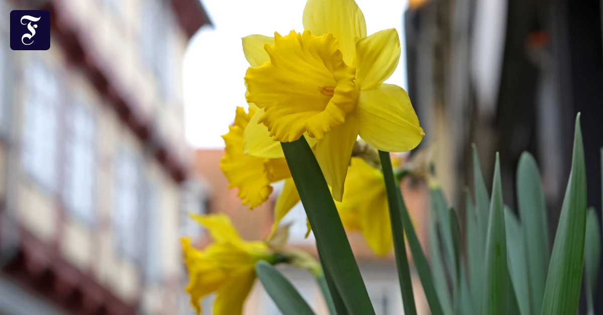 Rhein-Main-Liveblog: Regen-Sonnen-Mix an Ostern