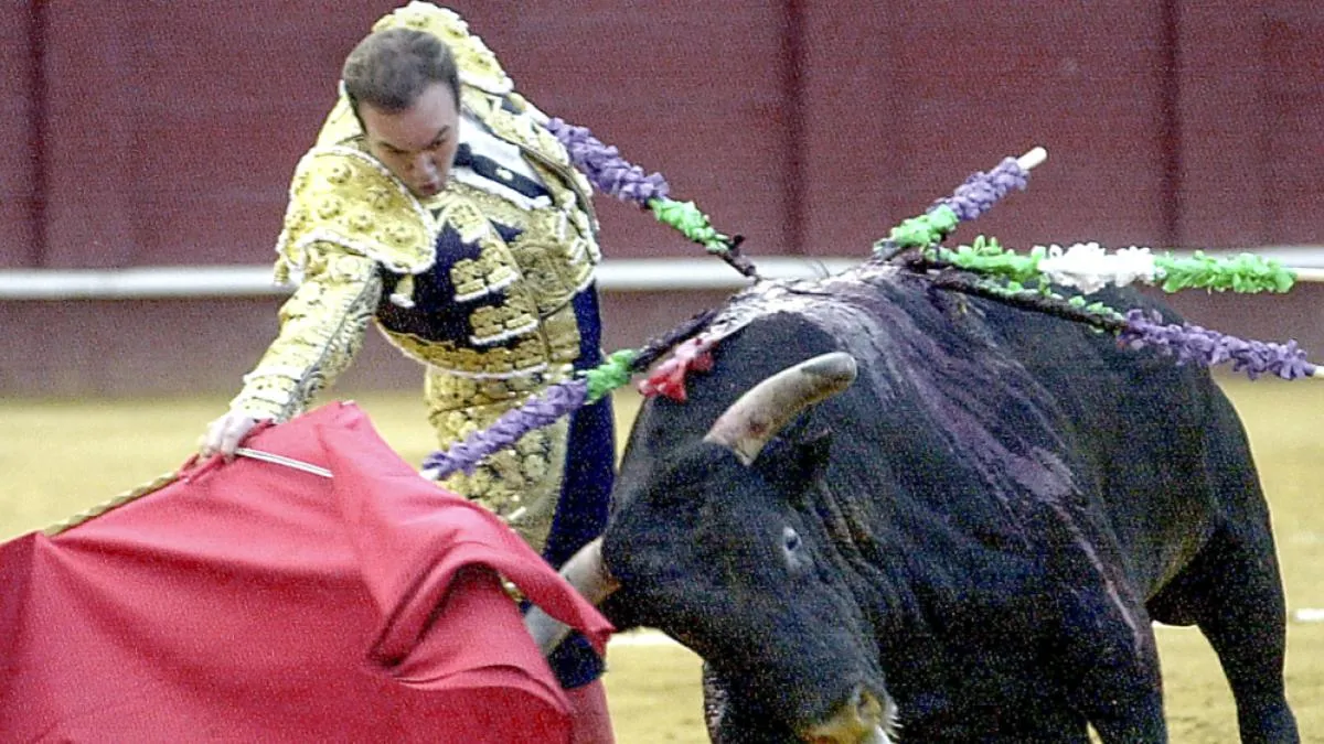 
                             Un toro mata al torero retirado Ricardo Ortiz en los corrales de la plaza de Málaga
                         