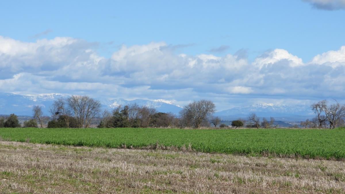 ¿Puedes ver el Pedraforca en menos de 30 segundos?
