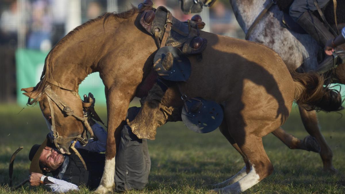 
                                                                                                                                           Polémica por el rodeo en Chile
                                                                                                                                       