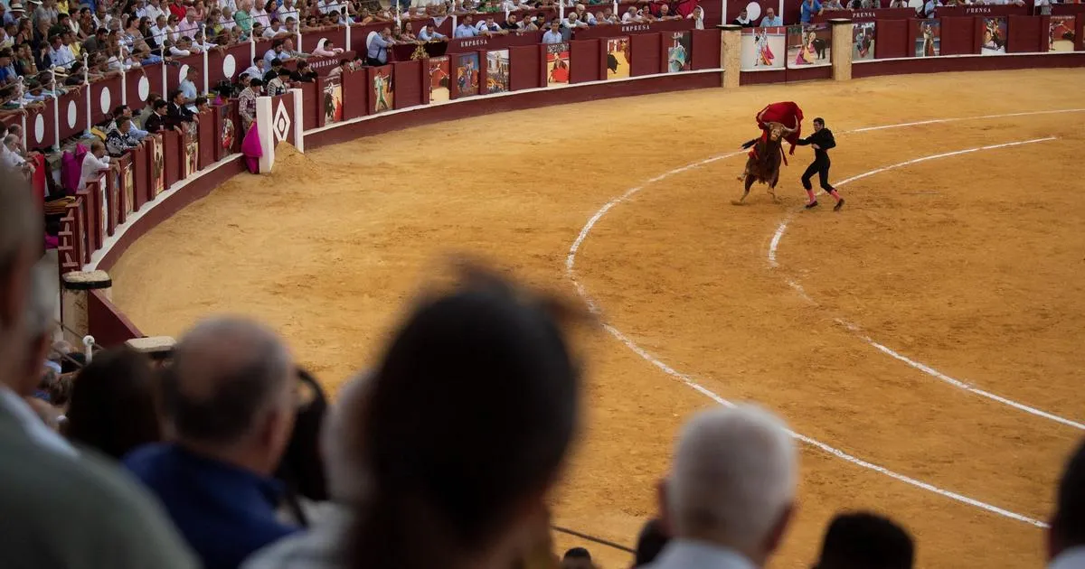 Espagne : un ancien matador mortellement encorné avant une corrida