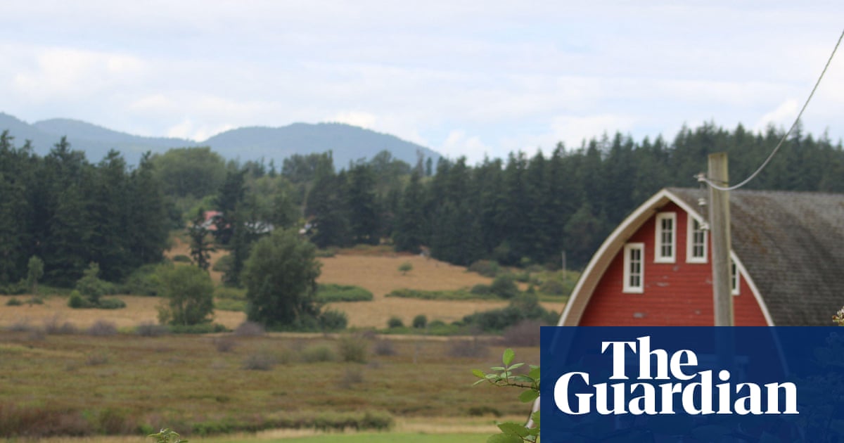 ‘Horror movie’: officials investigate after 21 dead dogs wash up on Washington state shore