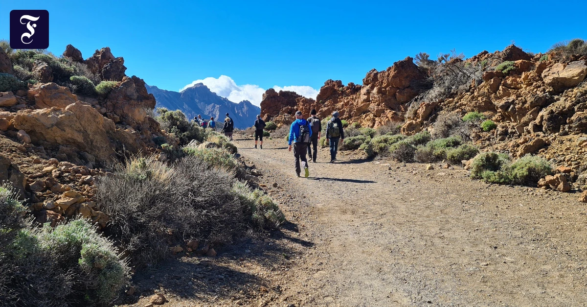 Auf teneriffa: Vermisster Tourist aus Niedersachsen für tot erklärt