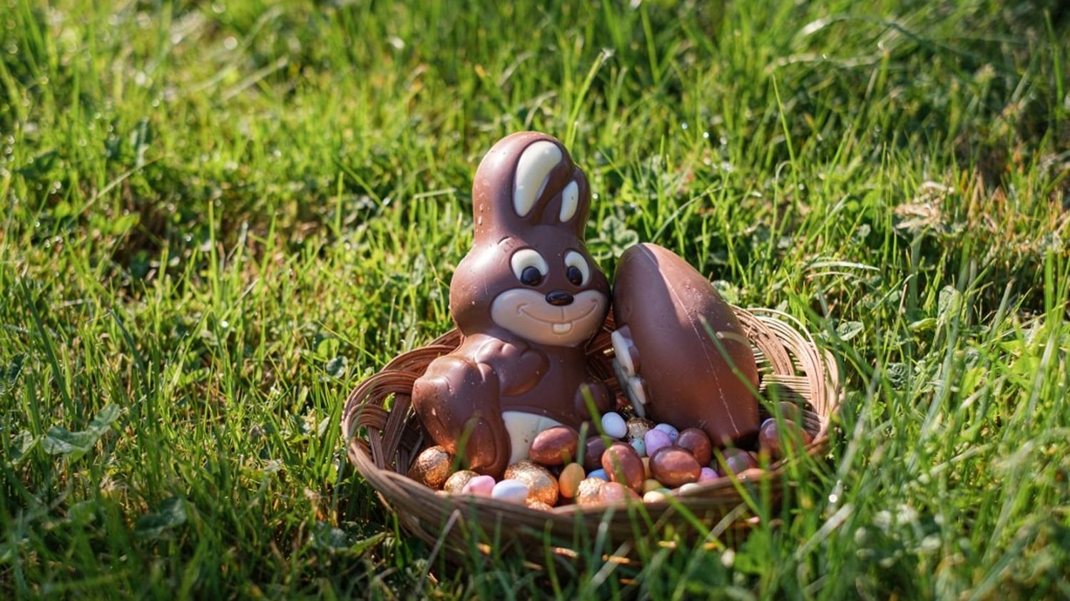 Poules, lapins et chocolats : trois questions pas si cloches sur la chasse aux œufs de Pâques