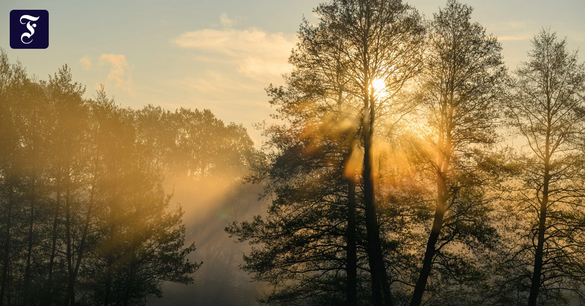 Die Kraft des Osterfests: Stille ist mehr als die Abwesenheit von Lärm