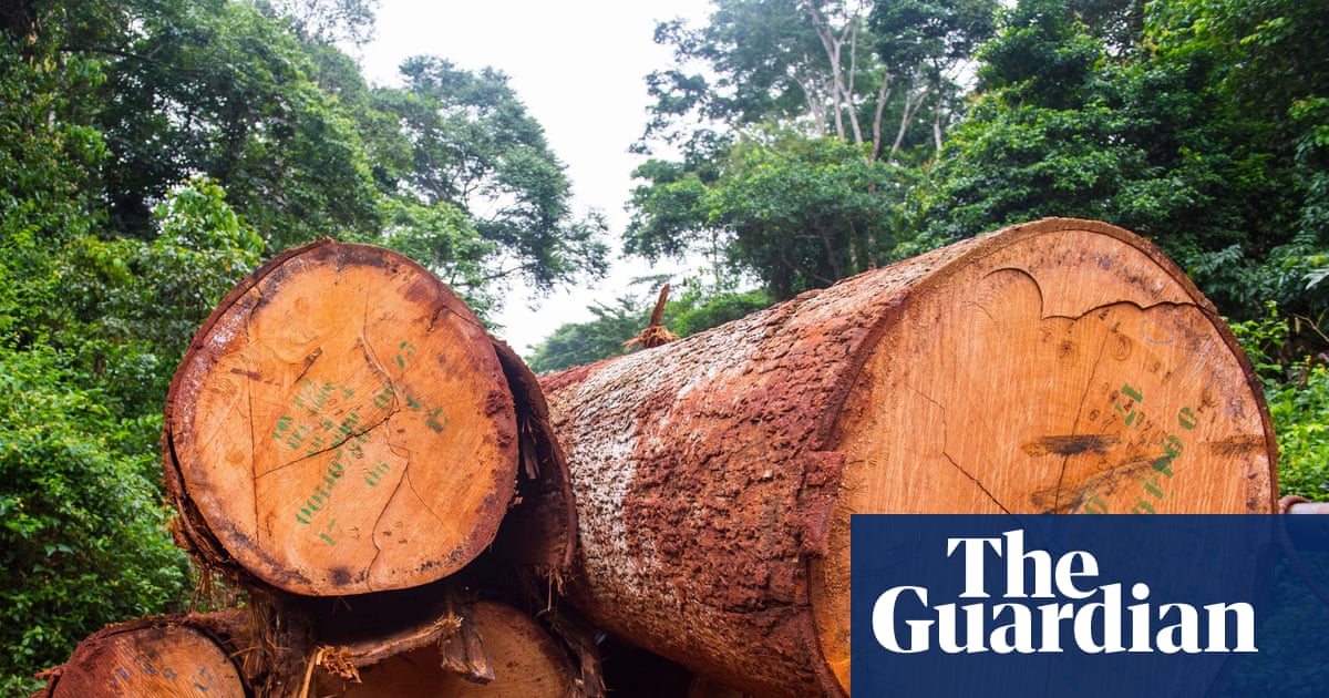 Africa’s forests transformed from carbon sink to carbon source, study finds