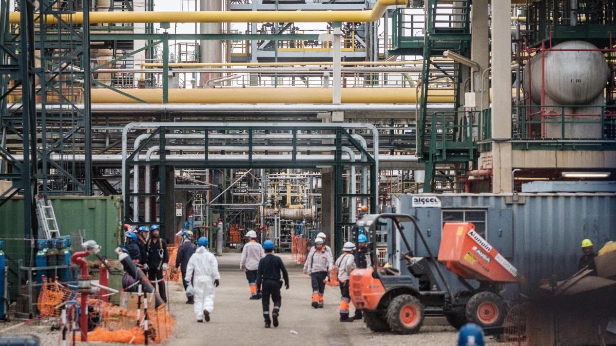 
                 Todos pendientes del refinado
             