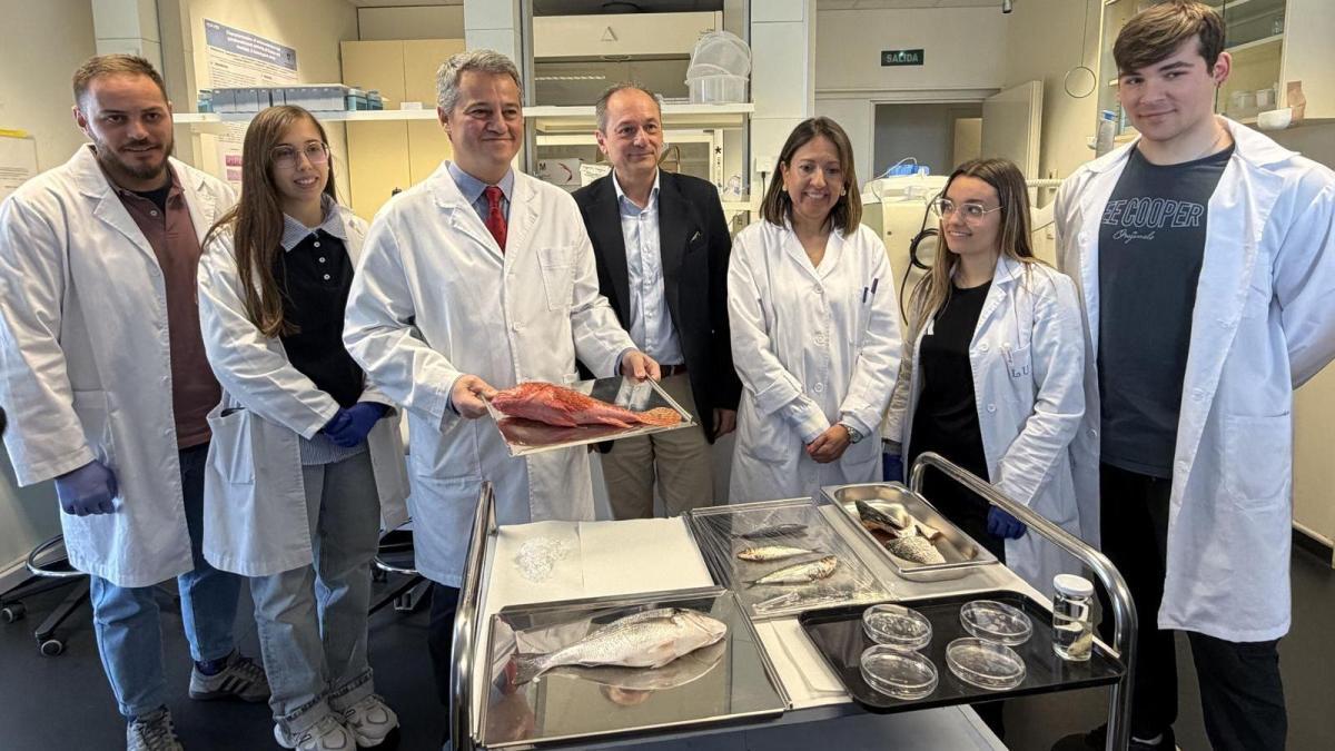 
                                         Científicos españoles crean una córnea artificial con escamas de pez para no depender de la donación de órganos
                                     
