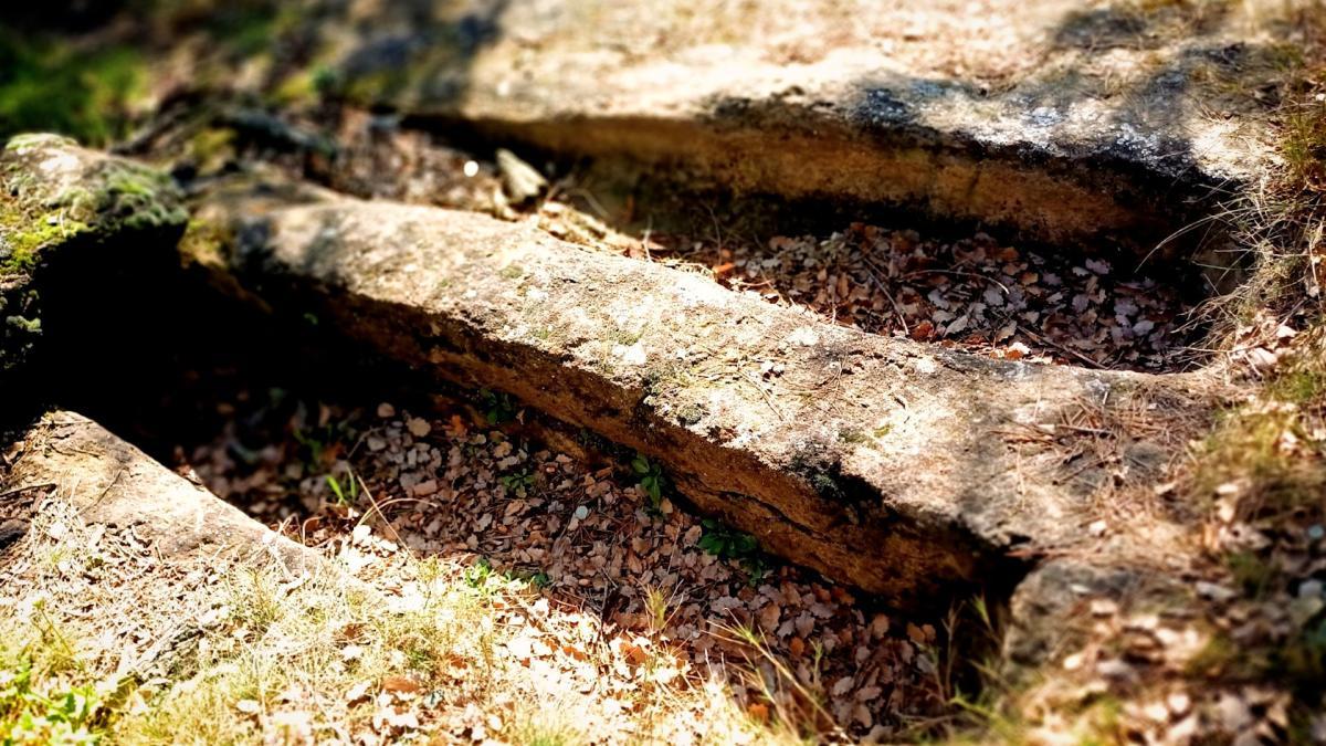 
                                                                                                                                    FotoDocs: La necrópolis del Clot dels Nens Xics
                                                                                                                                