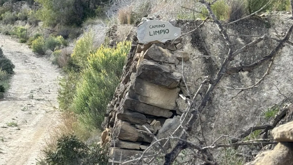 
                                                                                                                                     ¿El camino de montaña más limpio de España?
                                                                                                                                 