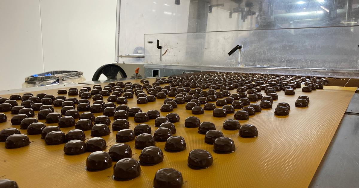 «35 recettes et 50 formes» : Chocmod, ce confiseur français dont le nounours en chocolat s’arrache en Amérique et en Asie