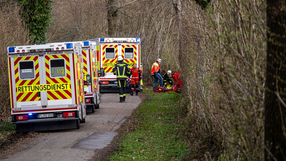 Flensburg: Umstürzender Baum erschlägt mindestens drei Menschen