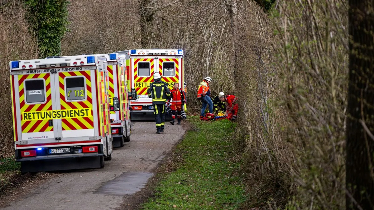 Flensburg: Umstürzender Baum erschlägt mindestens drei Menschen
