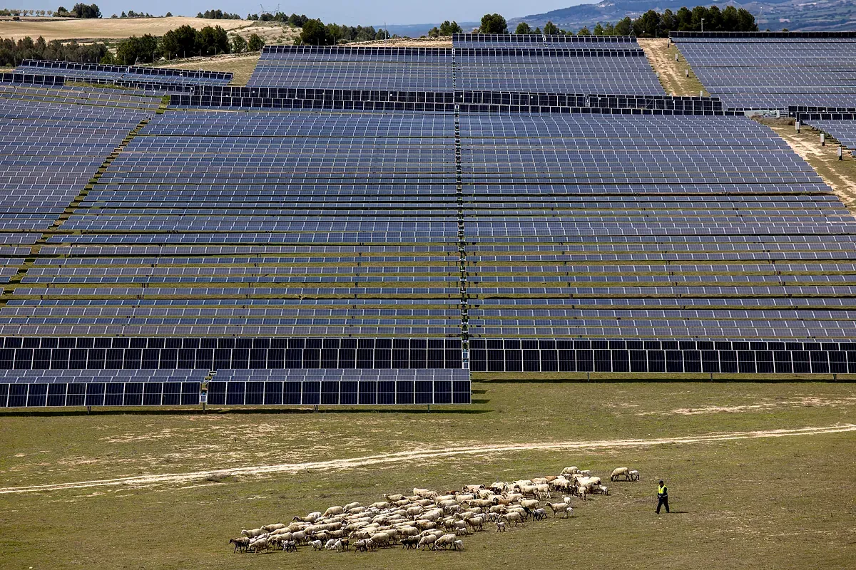 La 'resurrección' de Belinchón: incrementa un 50% su población y multiplica su presupuesto por 30 gracias a la fotovoltaica