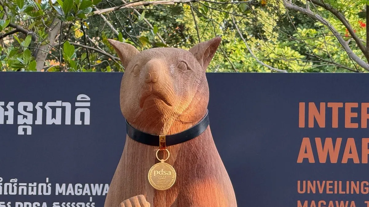 Kambodscha: Ratte Magawa erhält Denkmal für Minenarbeit