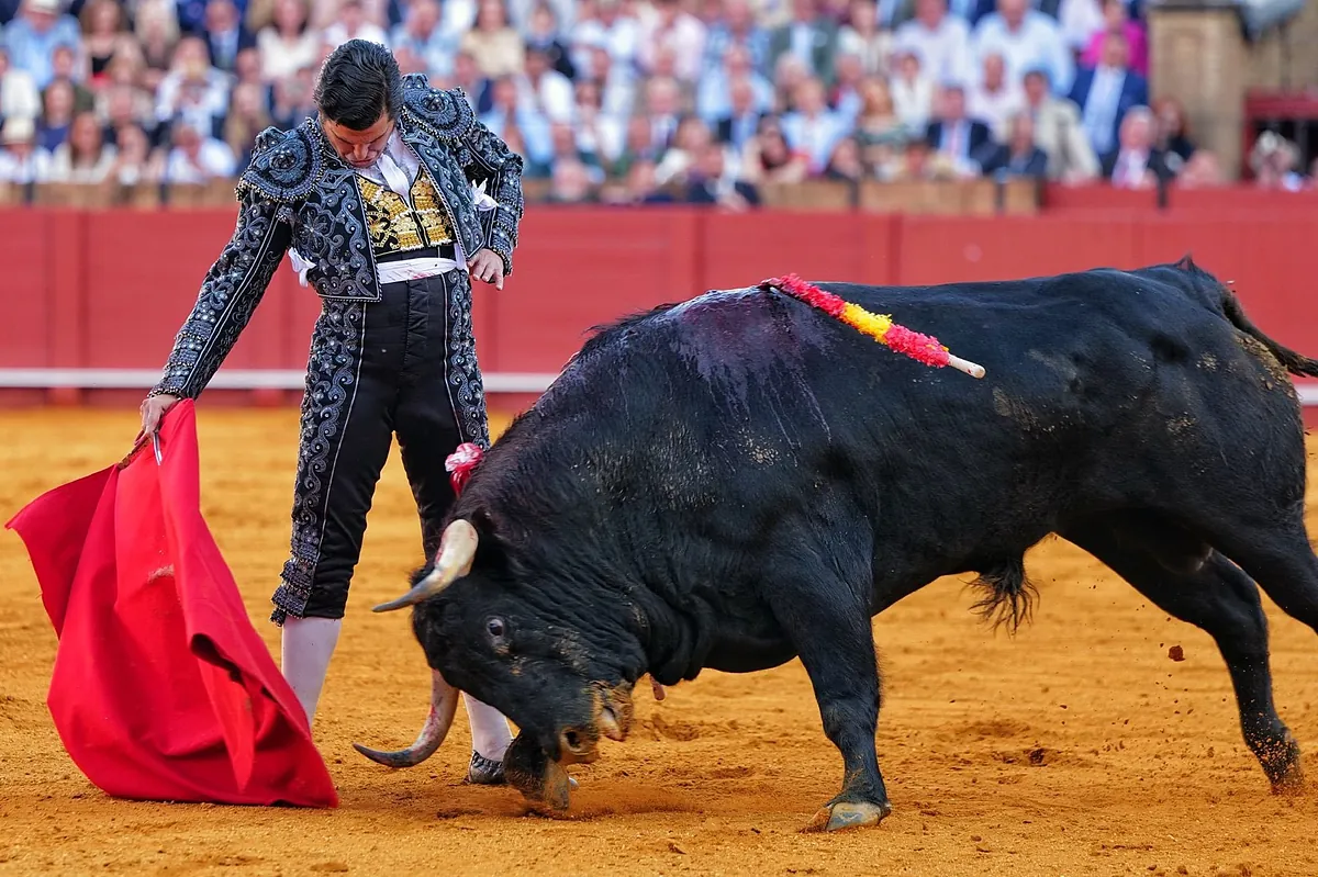 Morante de la Puebla brinda al Rey Emérito, reaparece con un toro impotente en Sevilla y abrevia