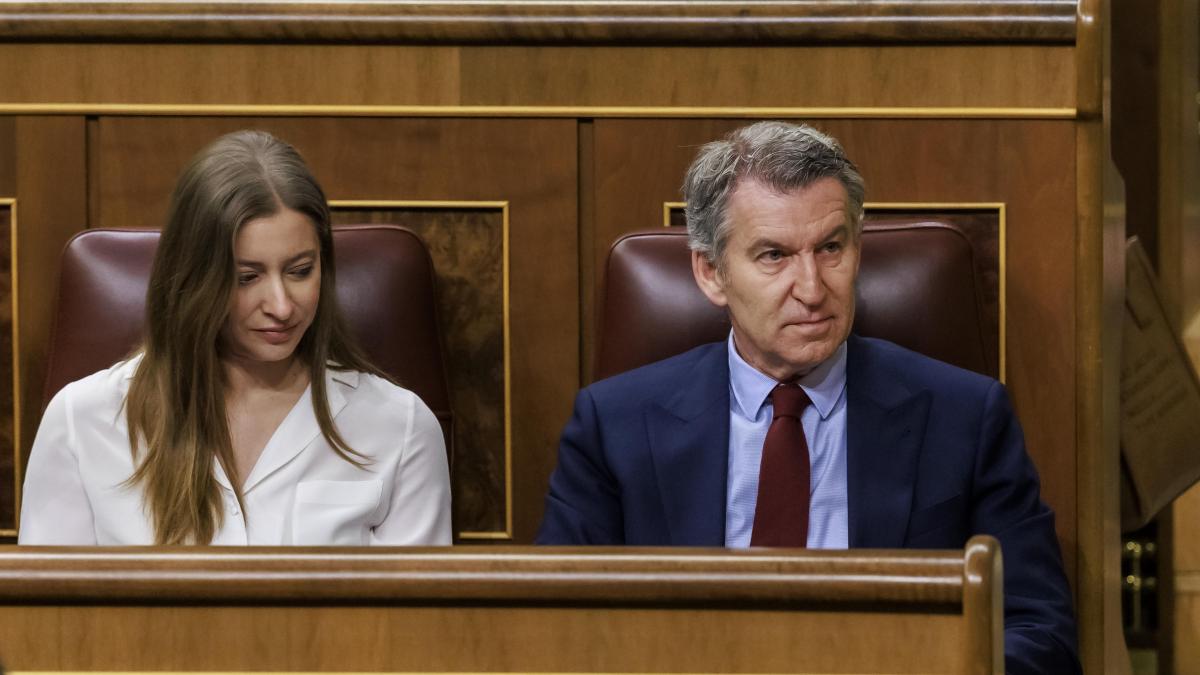 
                    Feijóo tiende la mano a Junts y PNV para pactar una moción de censura para convocar elecciones
                