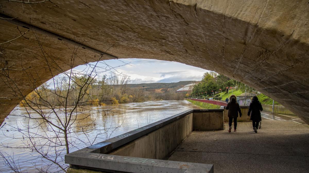 Un Policía salta al Ebro para auxiliar a una mujer y la salva con ayuda de los bomberos