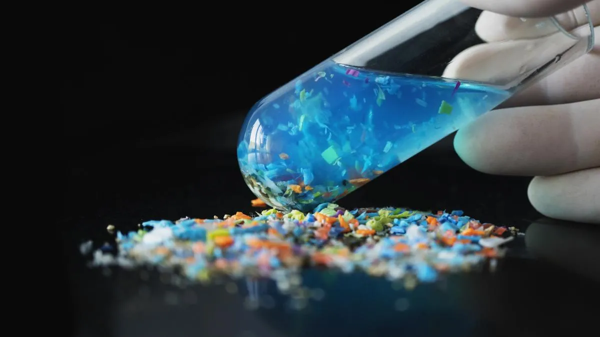 
                                                  Microplásticos: una amenaza para la salud humana
                                              