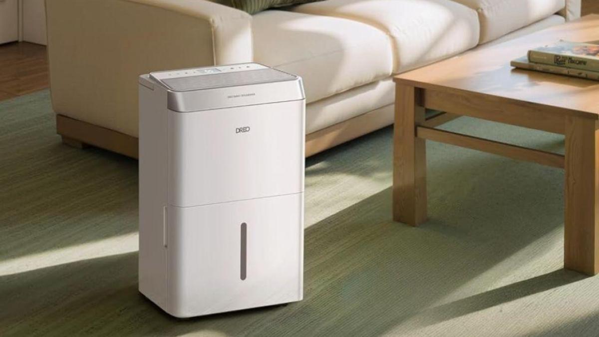 
                                                                                                Comparativa de deshumidificadores 2026: cuáles son mejores para pisos con condensación y moho
                                                                                            