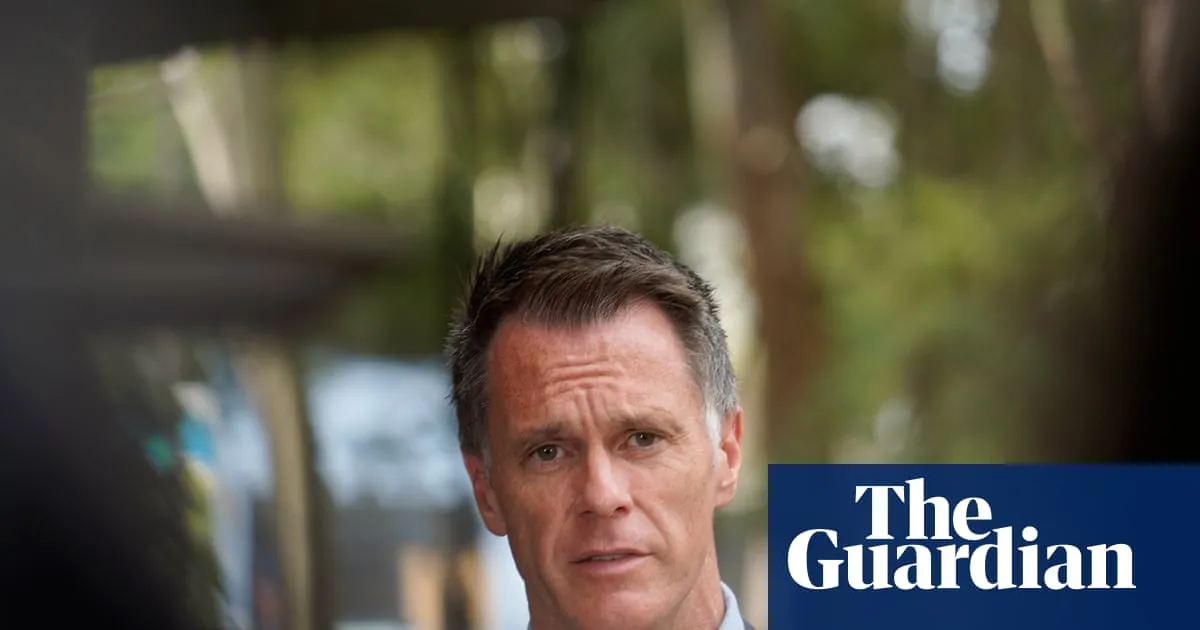 NSW Labor accused of rushing inquiry into banning phrases such as ‘globalise the intifada’ over the holidays