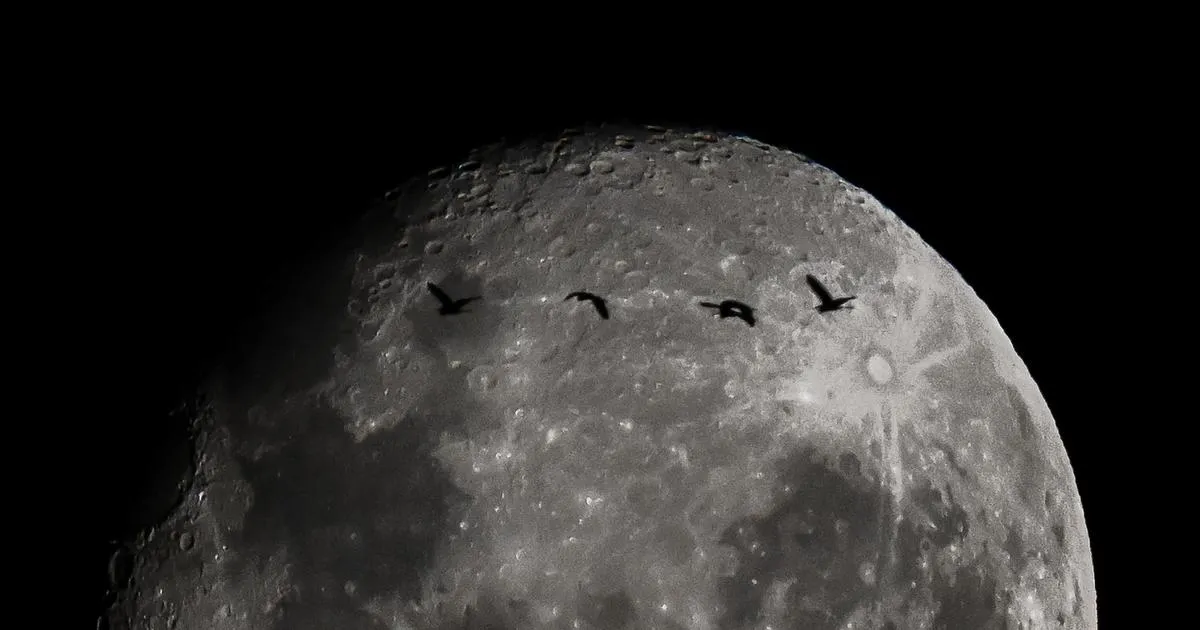 Mission Artémis 2 : dernière ligne droite pour les quatre astronautes, avant leur vol historique autour de la Lune