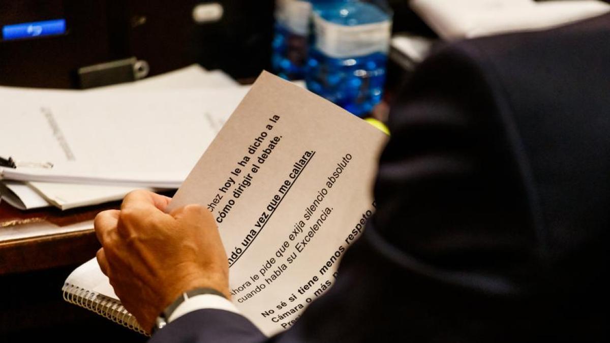 
                                                                  Respeto, señorías, más respeto
                                                              