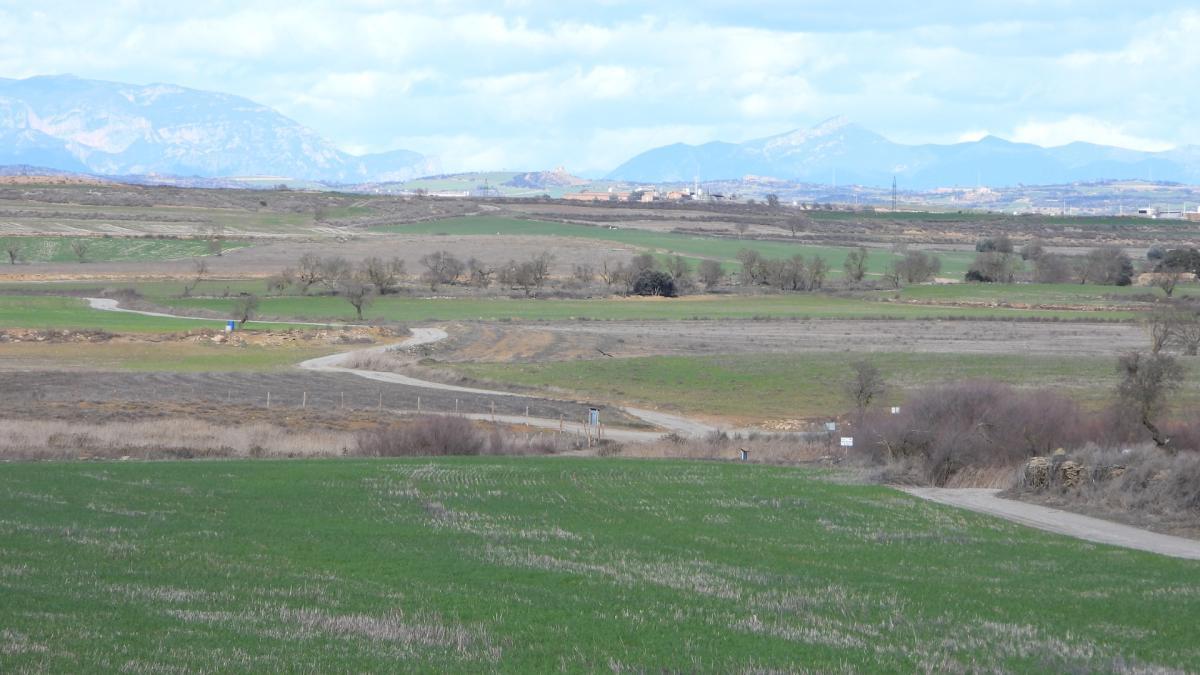
                                                                                                                        ¿Eres capaz de ver el aguilucho en menos de 30 segundos?
                                                                                                                    