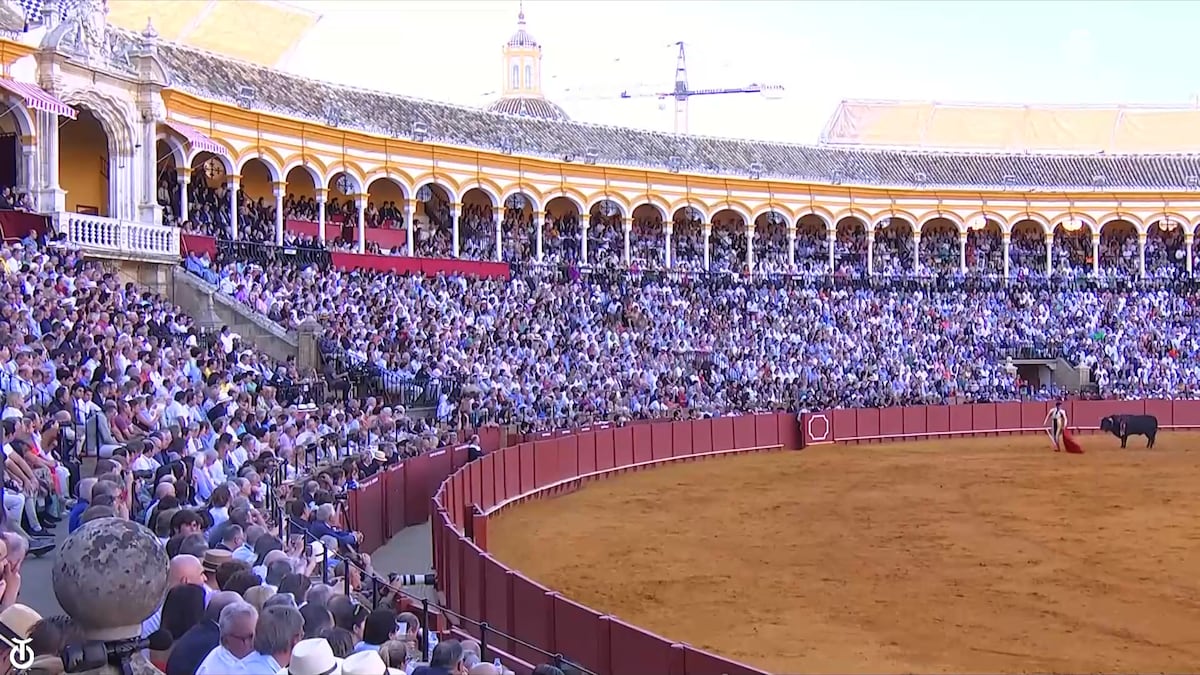 La Maestranza se ‘hunde’ (y urge poner remedio)