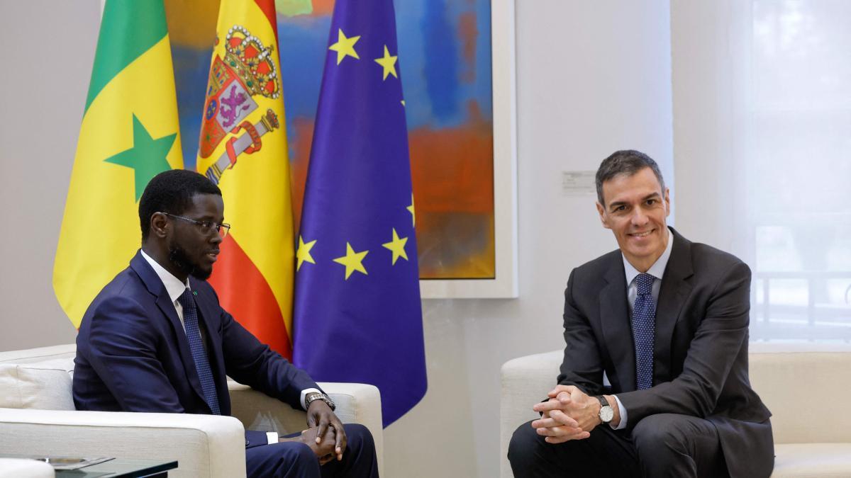 
                    Unificar el no
                