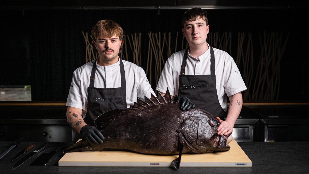 Jóvenes, aunque sobradamente preparados