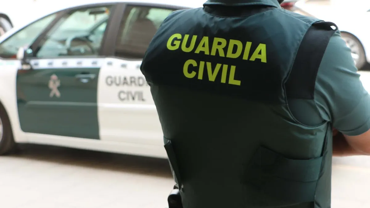 
         Buscan a un joven de 20 años por agredir a una mujer: la Guardia Civil investida si pudo huir hasta Málaga 
    