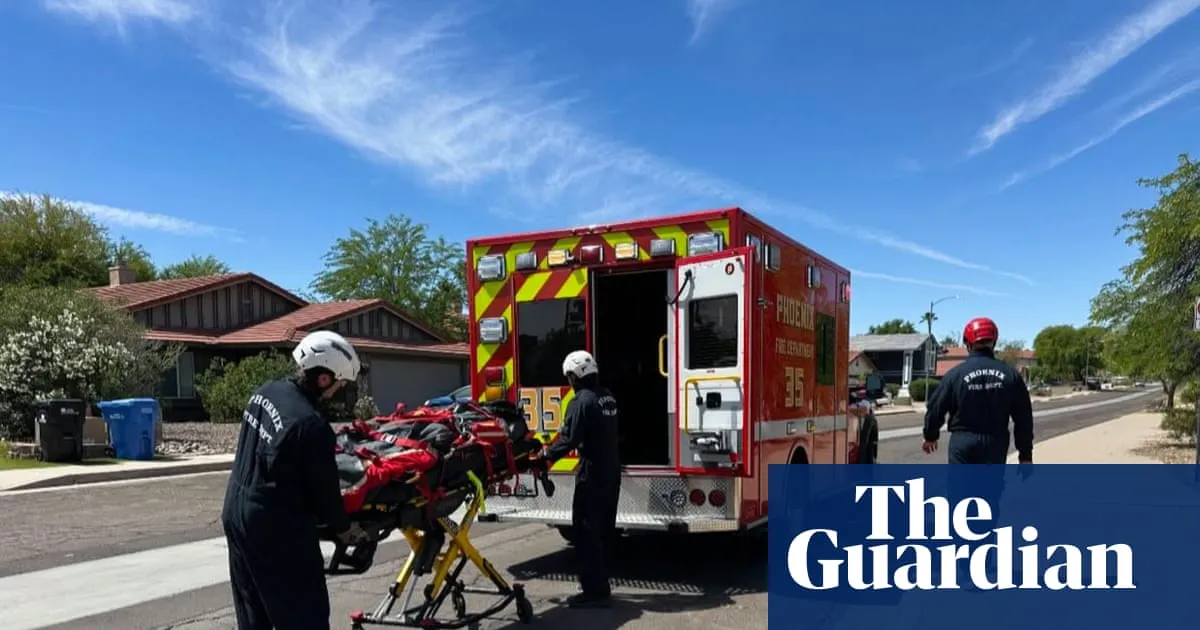 Arizona hiker stung more than 100 times by bees left in critical condition