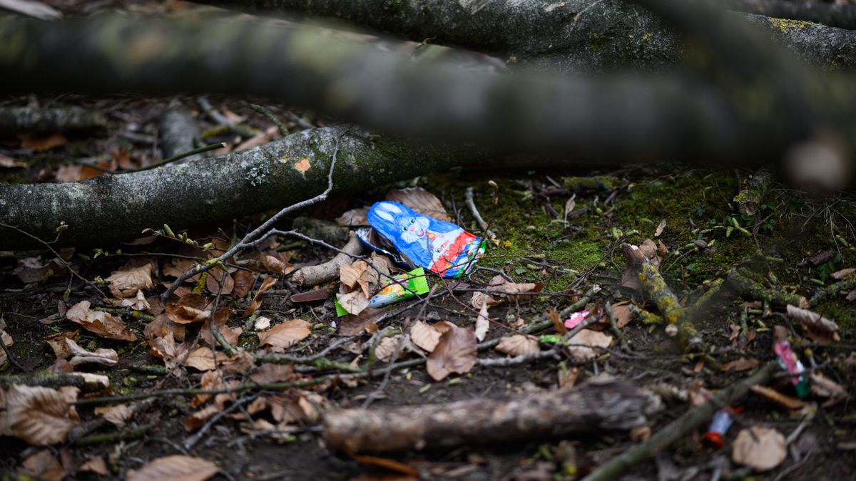 Flensburg: Staatsanwalt ermittelt nach tödlichem Baumunglück