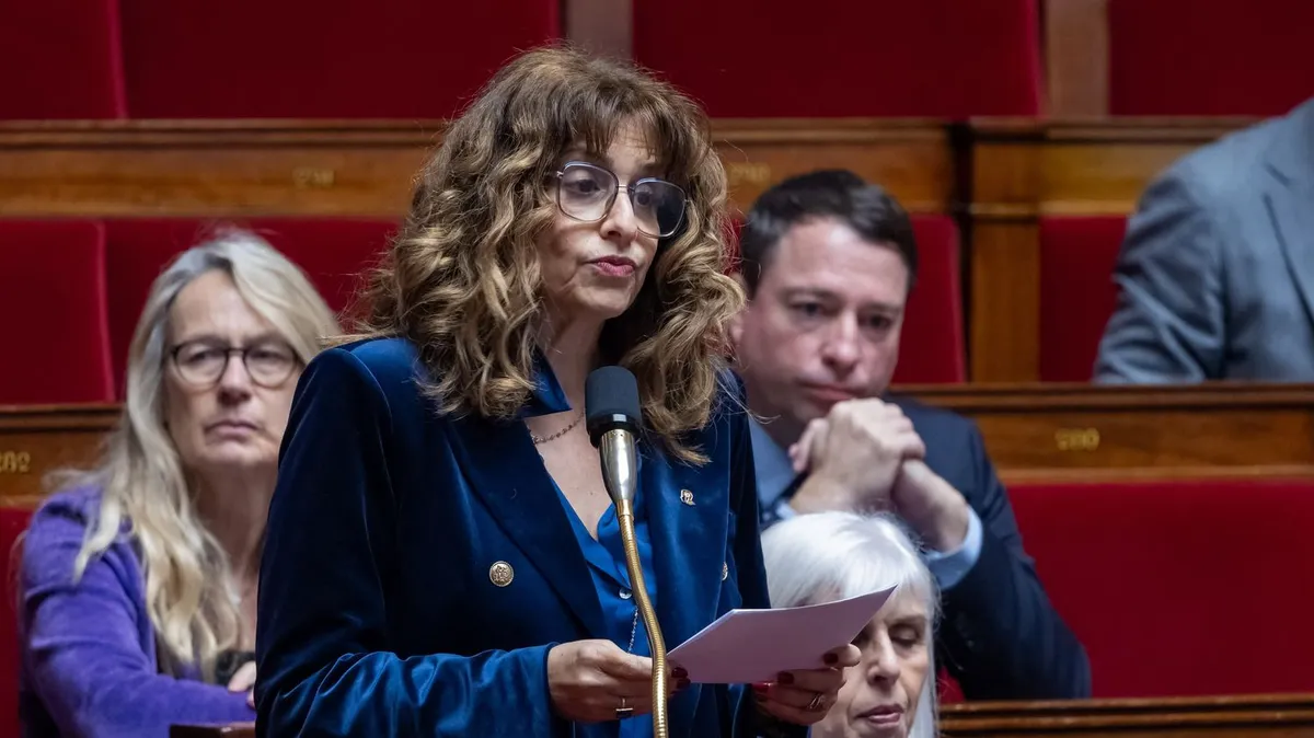 Plus de 400 000 signatures pour la pétition contre la loi Yadan "visant à lutter contre les formes renouvelées d'antisémitisme"