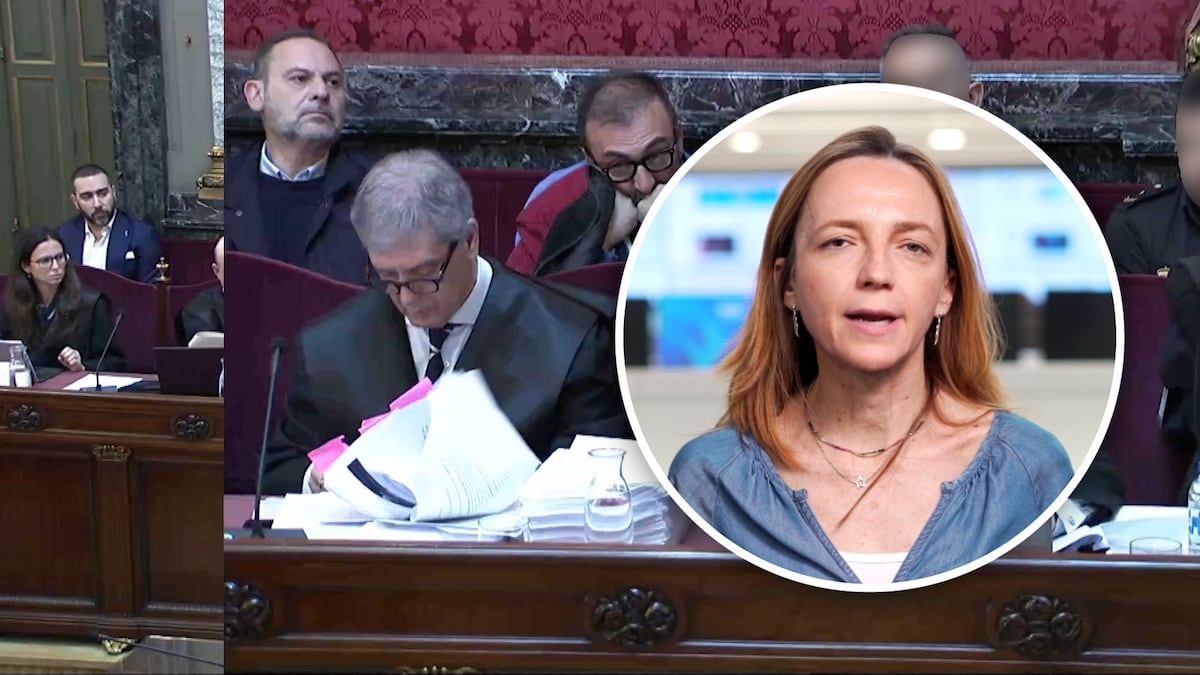 Los acusados, los testigos y los delitos que se juzgan en el ‘caso Koldo’