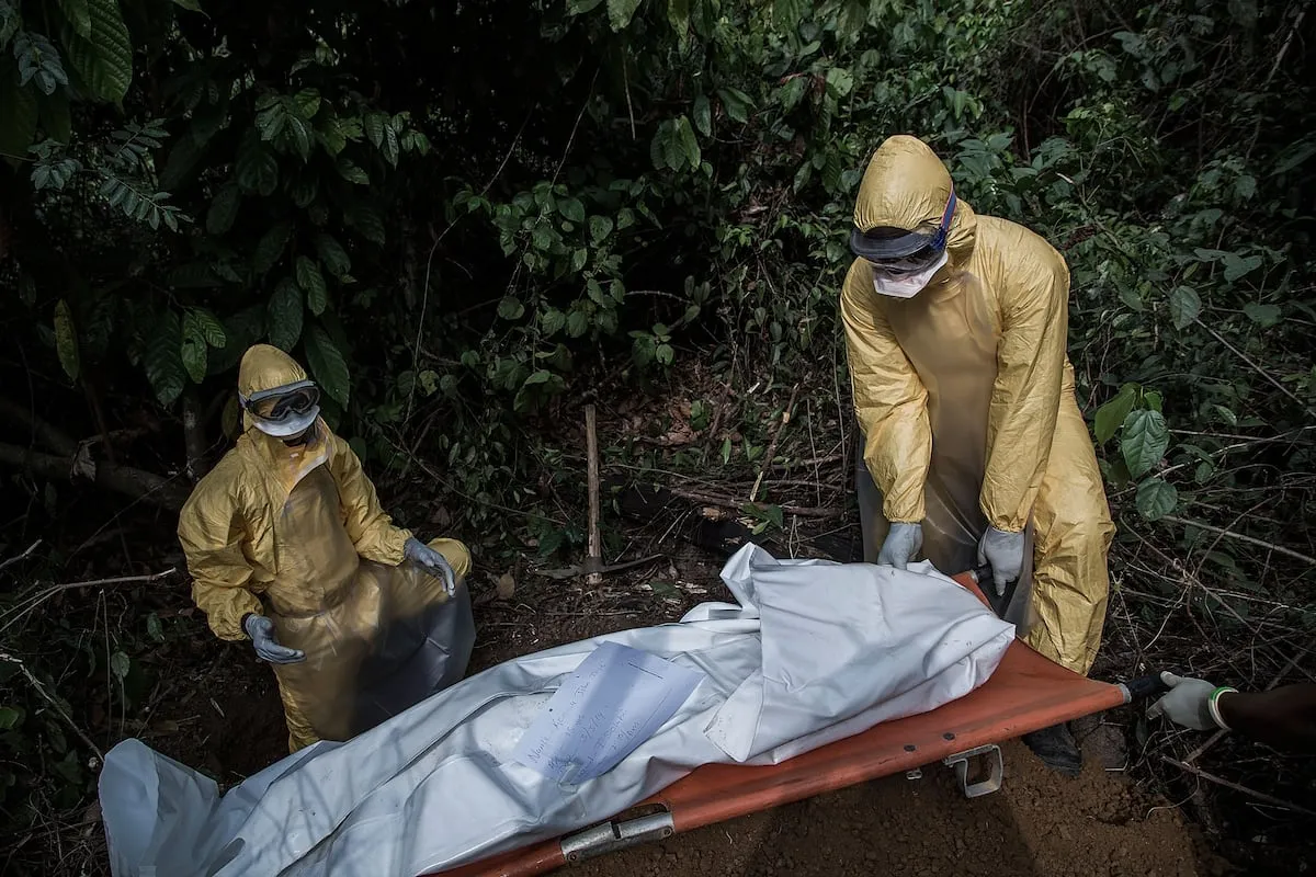 La ciencia por sí sola no detendrá la fiebre de Lassa, una enfermedad grave que sigue causando muertes evitables