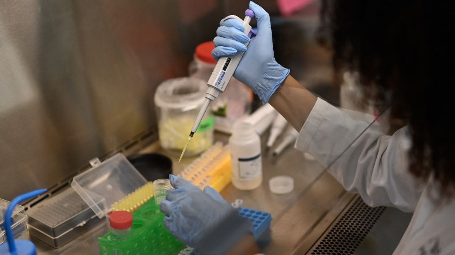 Face au futur "pathogène X", la recherche contre les maladies qui se transmettent de l'animal à l'homme se développe