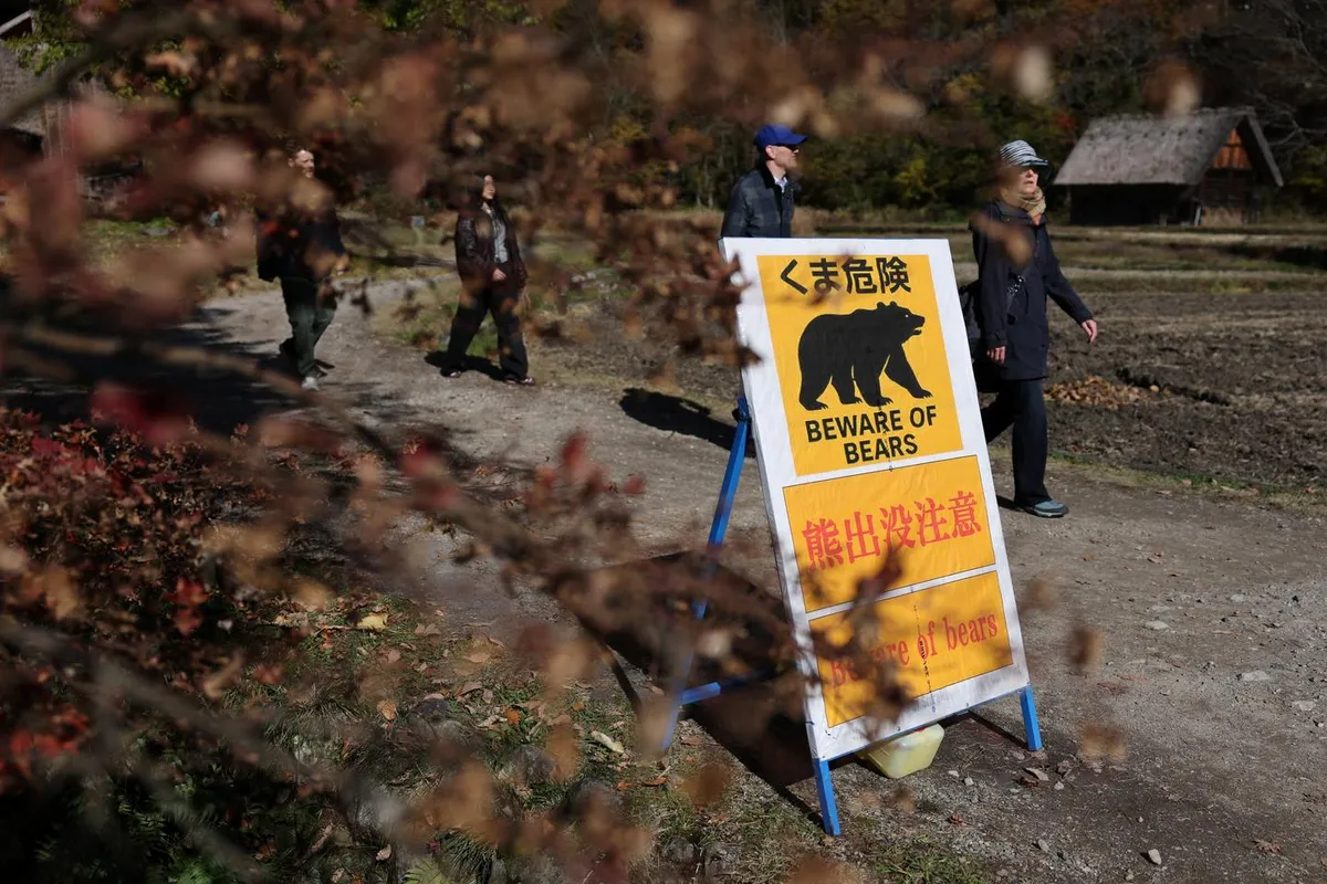 Le nord du Japon doit réapprendre à vivre avec les ours