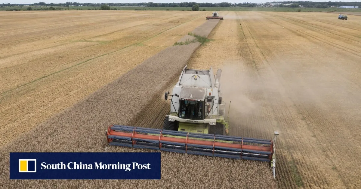 Beyond Russian oil, China also increases appetite for Ukrainian wheat flour