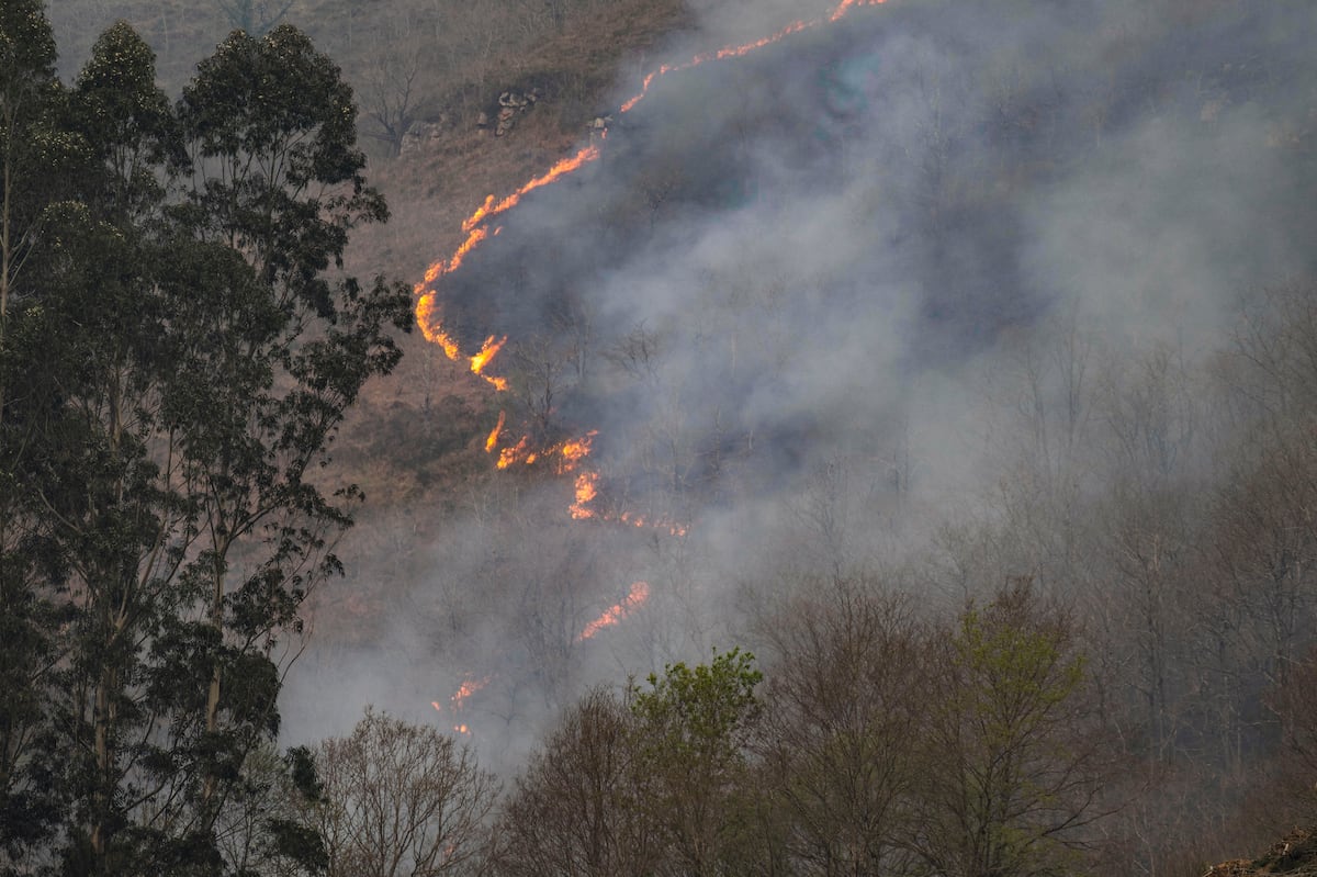 Cantabria y Asturias arden con unos 60 incendios, la mayoría provocados, en días de altísimo calor y suradas: “Es lo de siempre”