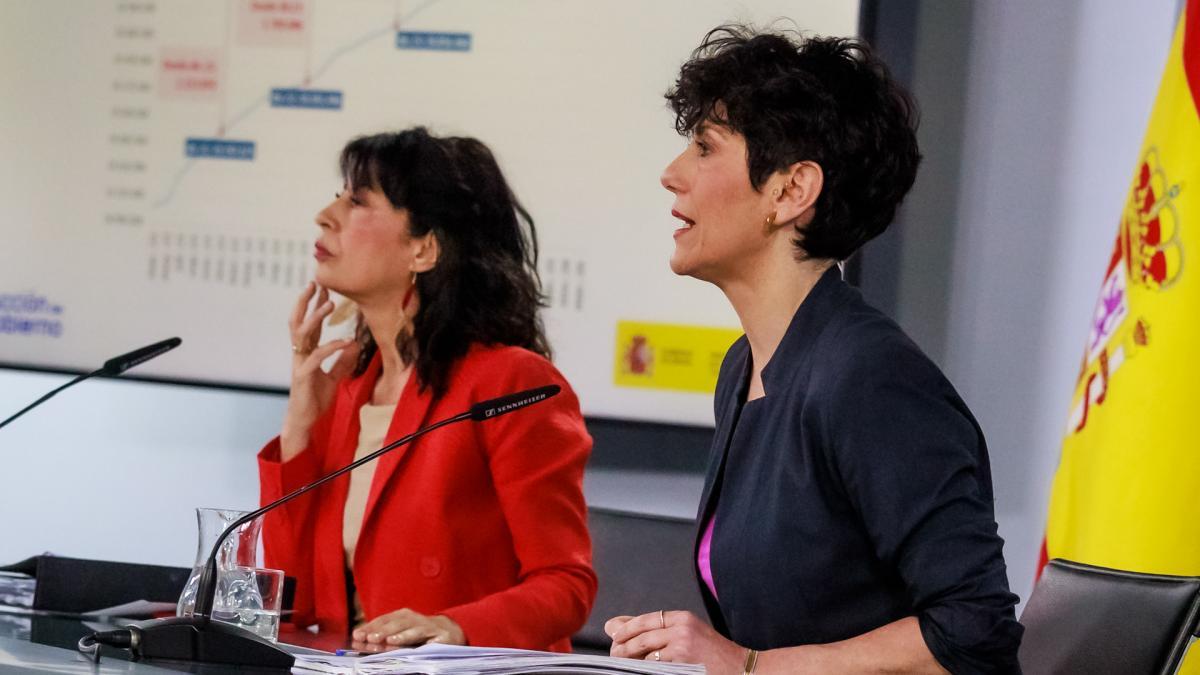 
                   El Gobierno aprueba reformar la Constitución para garantizar el aborto en la sanidad pública
               