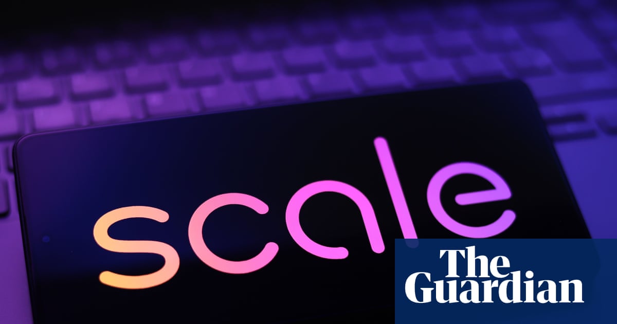 Porn, dog poo and social media snaps: the ‘taskers’ scraping the internet for Meta-owned AI firm