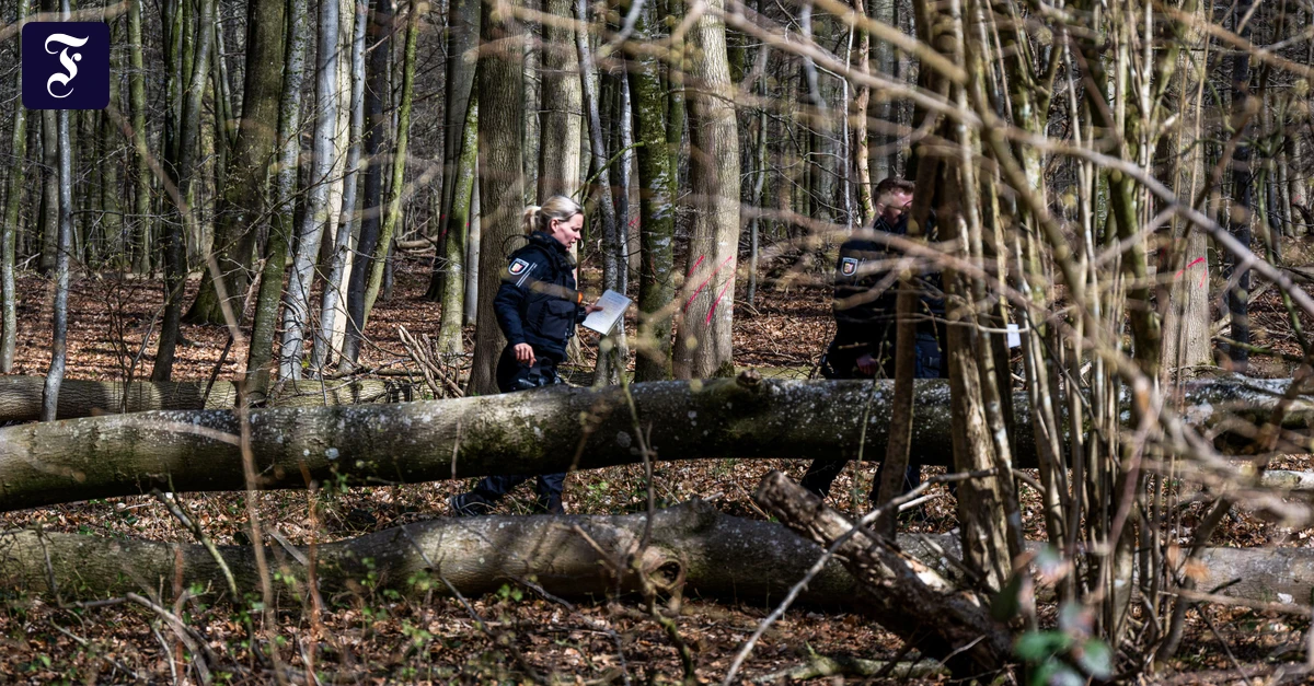 Nahe Flensburg: Staatsanwaltschaft ermittelt nach Baumunglück mit drei Toten