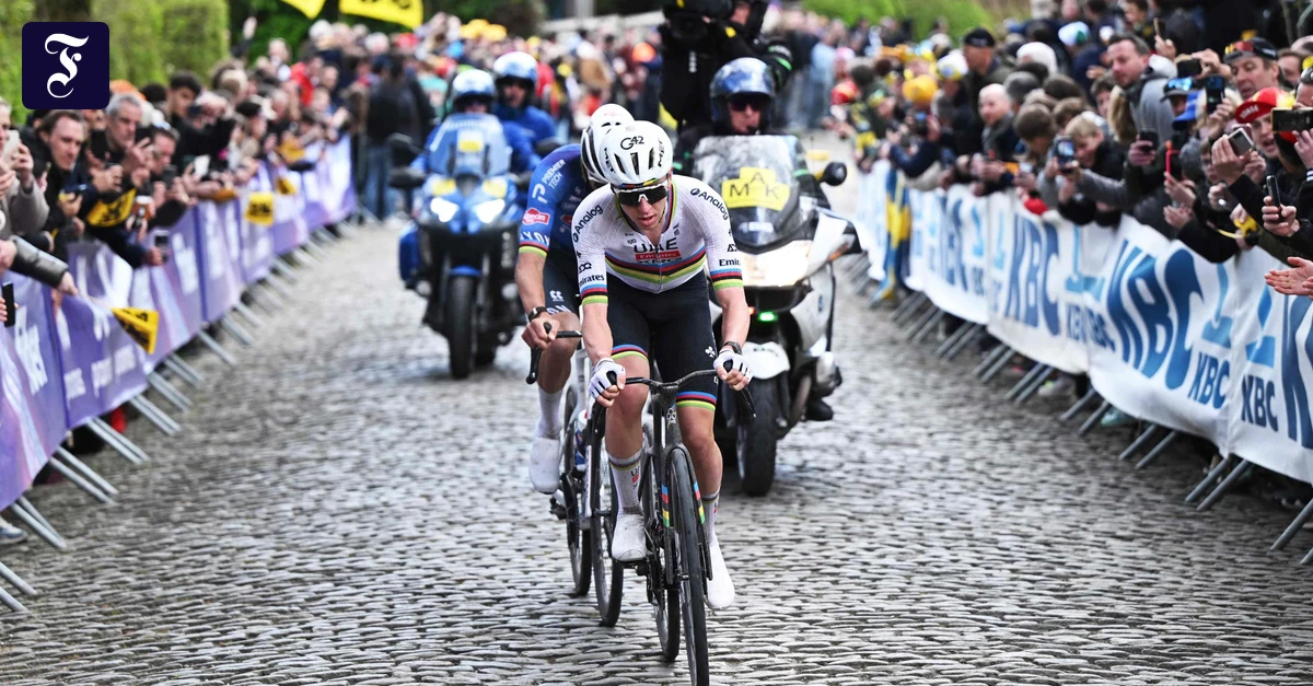 Vorfall bei Rennen: Radprofis um Tadej Pogačar droht Führerschein-Entzug und Geldstrafe