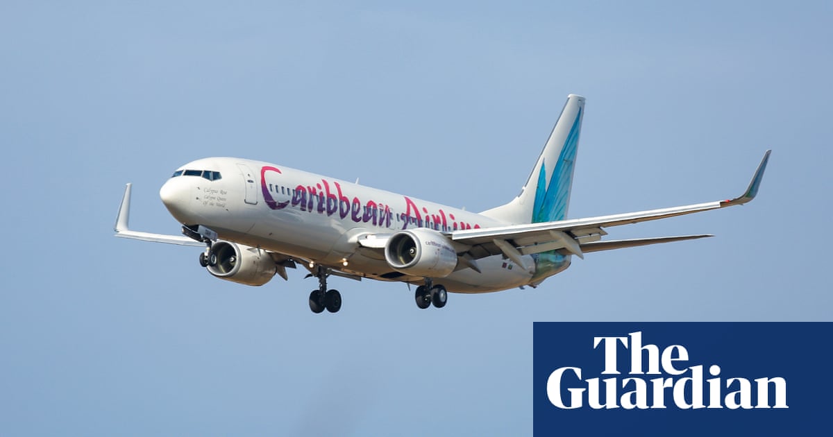 Stork warning: woman gives birth midair on Jamaica-to-New York flight