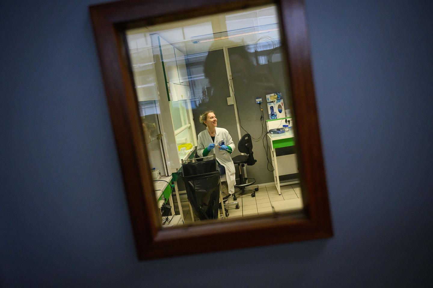 Cadmium : des dépistages seront bientôt remboursés en laboratoire de ville